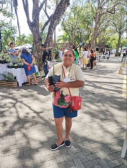 Feira