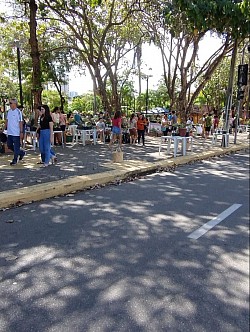 Feira do cultivo familiar
