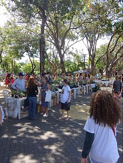 Feira