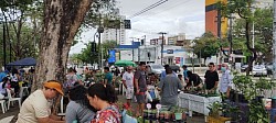 Feira