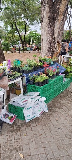 Feira
