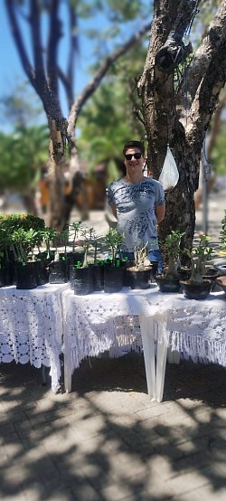 arabicasdosertao