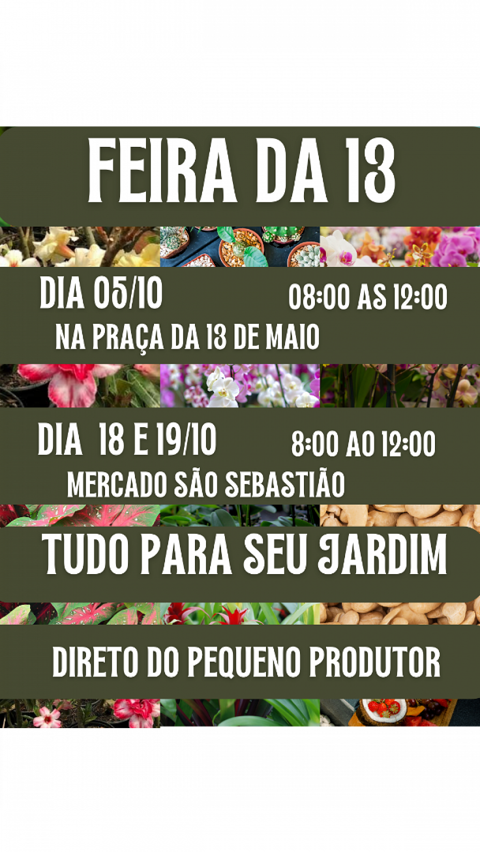 Feira 03/11